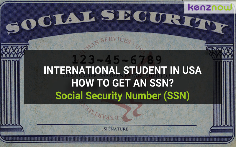International Students in USA – How to get an SSN