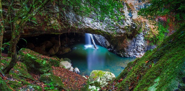 NATURAL BRIDGE AND MORAN FALLS