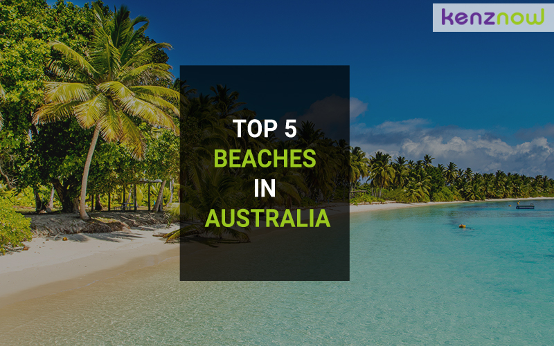 Top 5 Beaches of Australia