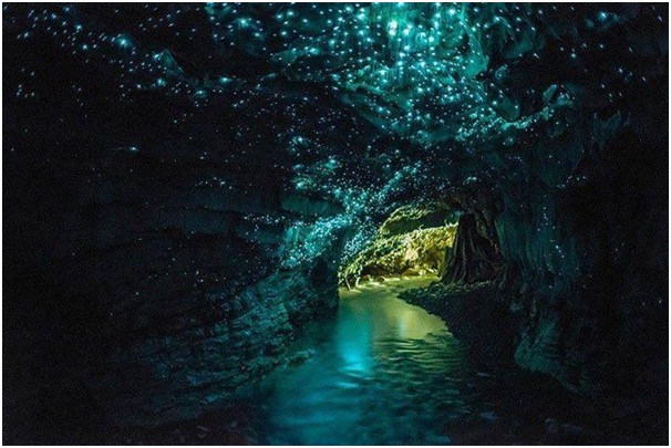 GLOW WORM TUNNEL