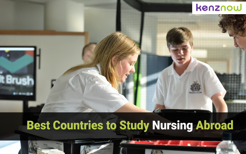 phd in nursing abroad