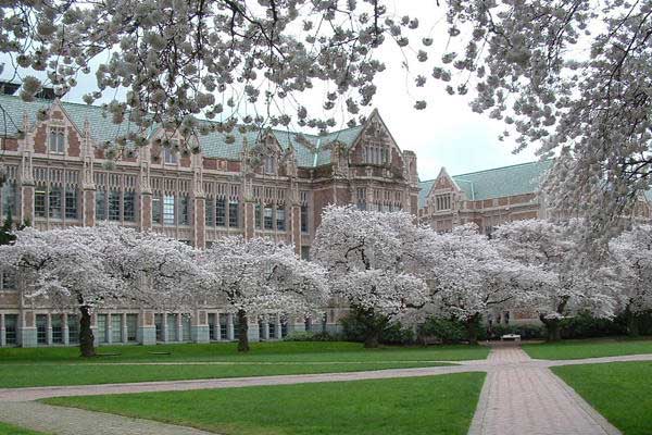 university-washington-usa