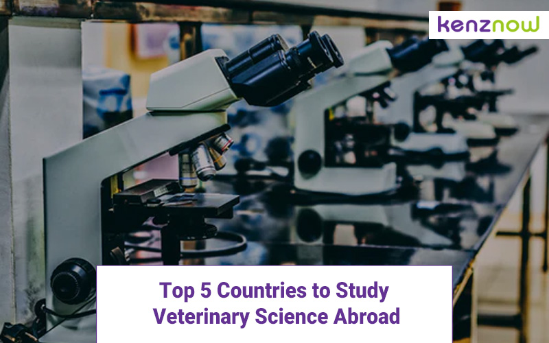 Top 5 Countries to Study Veterinary Science Abroad