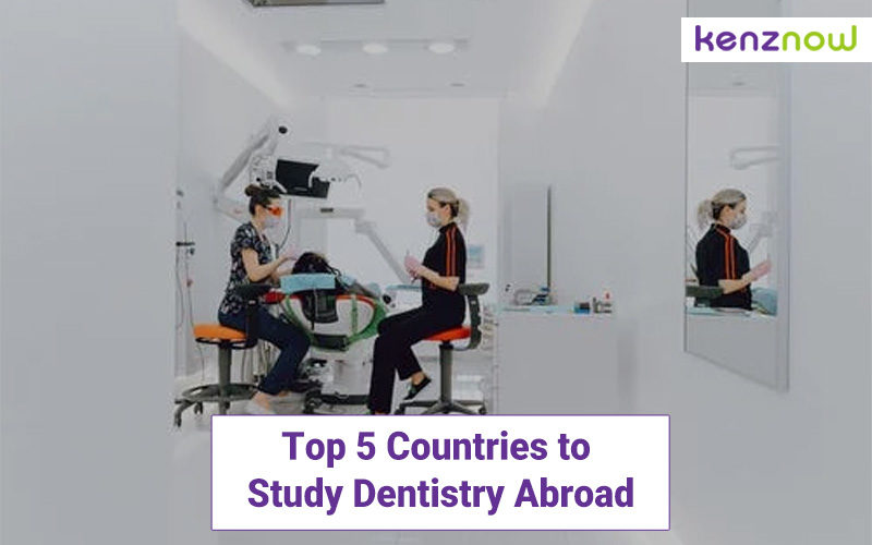 Top 5 Countries to Study Dentistry Abroad