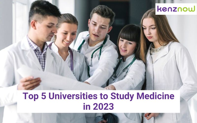 Top 5 Universities to Study Medicine 2023