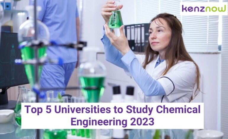 Top 5 Universities to Study Chemical Engineering 2023