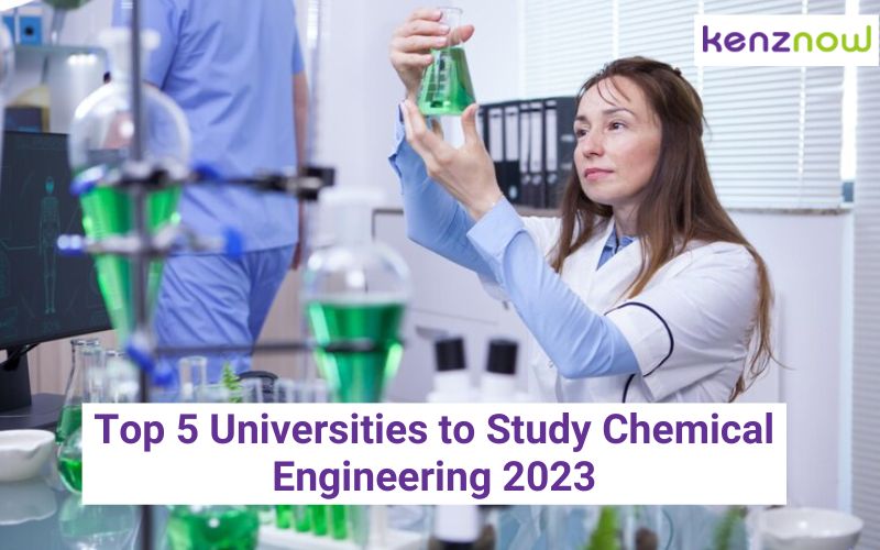 Top 5 Universities to Study Chemical Engineering 2023
