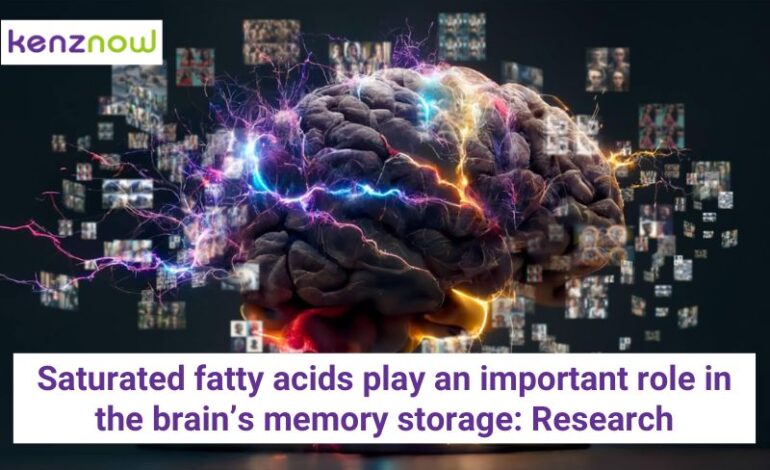 Saturated fatty acids play an important role in the brain’s memory storage: Research – Kenznow