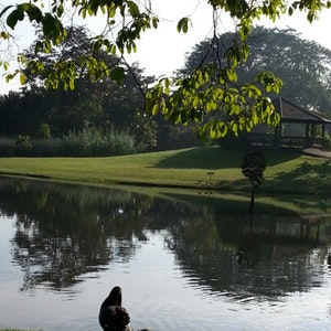 Bukit Batok