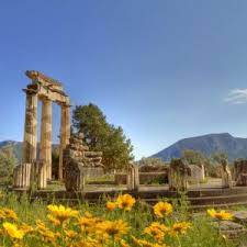 Delphi 